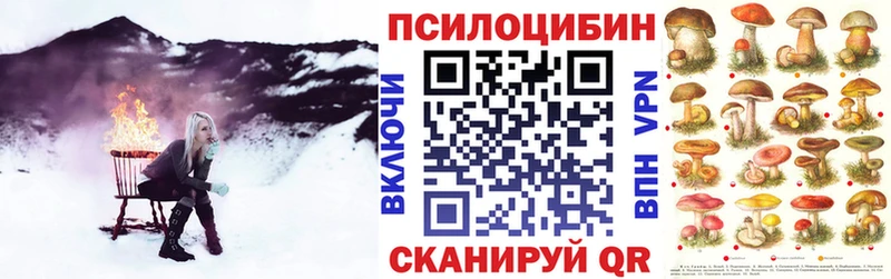 Галлюциногенные грибы Magic Shrooms  Купить закладки  Ивдель 